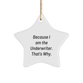 Underwriter Star Ornament Gifts from Men to Friends, Cute 'Because I Am The Underwriter. That's Why.' Quote, Christmas Unique Gifts for Underwriter, Star Ornament Enthusiasts - Image 1